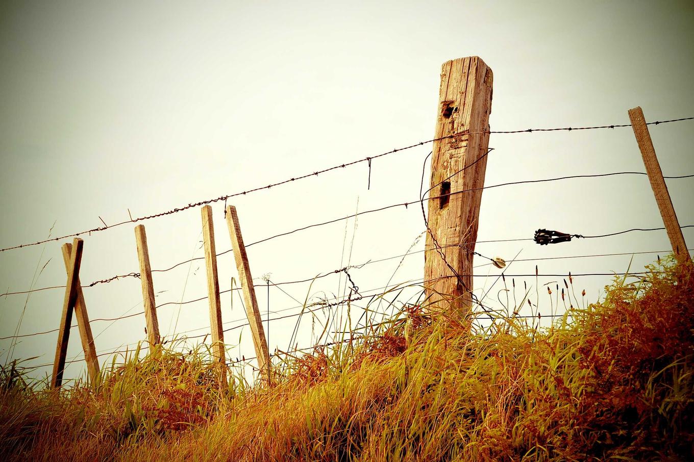 Quia recusandae vel aut aperiam molestiae quia